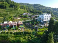 Ya'an Aiduo Moshang Homestay Hotels near Mengding Mountain