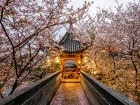 Seclusive Mengxi Garden