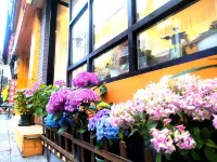 Zhenyuan Yutu Travel Homestay