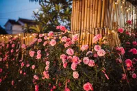 Suzhou Yangwan No.1 Boutique B&B - مسبح خاص