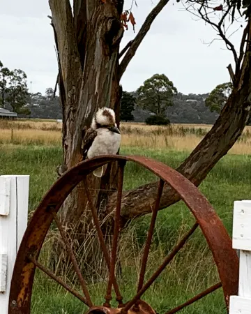 Pelican Point Sanctuary Отели в г. Сент-Хеленс