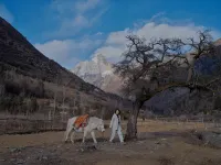 Siguniang Mountain Yangwangxingkong Snow Mountain Hotel[The best spot to view snow-capped mountains] - Gym