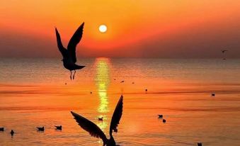 Xilin Xiaowo Homestay