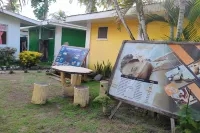 Summer Homes Beach Front Resort and Cottages Port Barton - ที่มีสปา