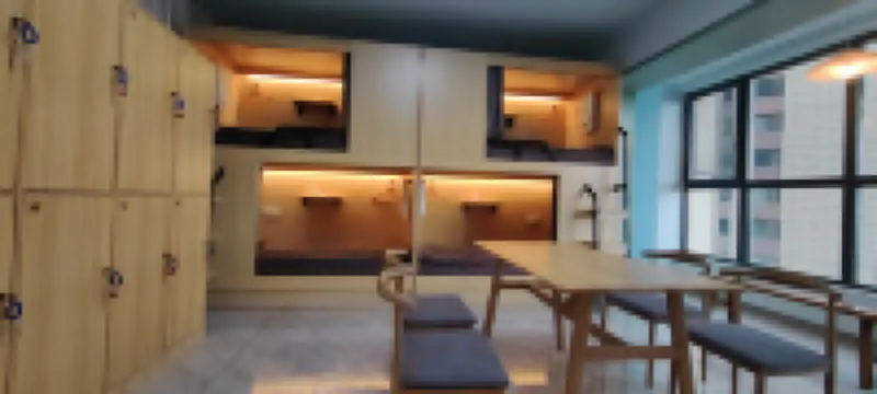 Morning Blossoms Gathered at Dusk Youth Hostel