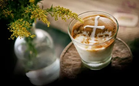 Homestay Pleiku City