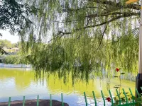 PURE SILVAN HOTEL - Mountain view