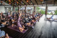 Vikasa Yoga Retreat
