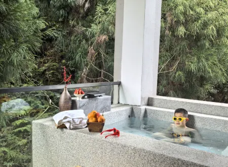 Bifengxia Yunshang Tingshui B&B Отели рядом с достопримечательностью «Bifeng Gorge»