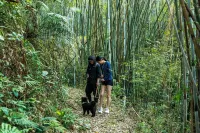 醉夢·依山靜竹海泳池野奢民宿（龍門南崑山店） - 浪漫/情侶