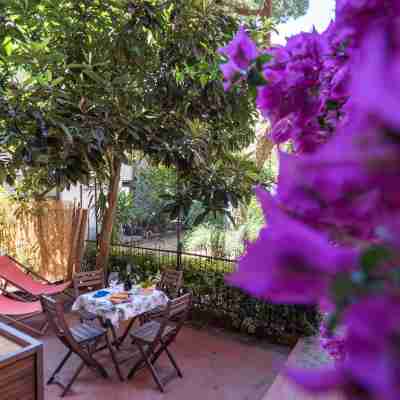 Il Giardino di Ada Ground Floor Studio with AC and Patio Hotel Exterior