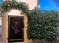 CASA DI KAIXIN