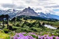 DINGQINGKANGZHU Hotls - pemandangan pegunungan