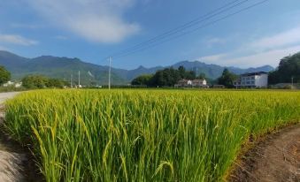 Hefeng Xianmi Gongyuan Homestay