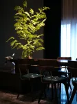 Yantai Tongpai Hotel - Business