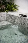 英德·松香山舍The Rosin Valley Villa & SPA（積慶裏仙湖店） - 溫泉