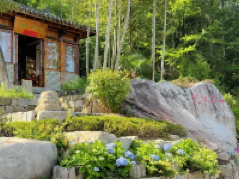 Zhuxi Tea Garden · Homestay