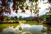 Huizhou Luofushan Lihe Ecological Park Hot Spring Homestay - Mountain View