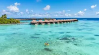 Ayada Maldives - (Complimentary domestic transfer for 2 adults on 7N+ stays till 30 Sep 2026) - Gym