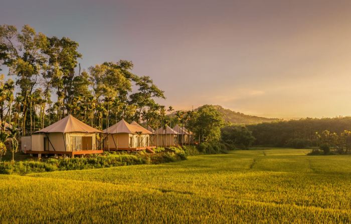 WILDRETREAT • POLIN RICE VALLEY