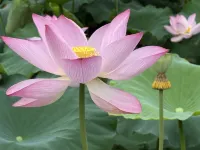 Wangxian Valley Moyuan Homestay - Romantic
