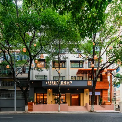 YSEE·UNDER THE CAMPHOR TREE Hotels near Yunyan District