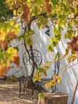 Large Villa 8-Bedroom near Beach & Lisbon with Terrace & Garden -  Casas de vacaciones