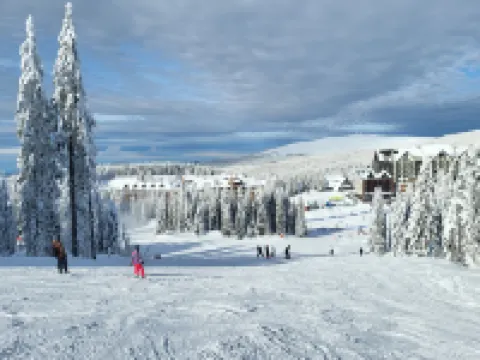 Aparthotel Woodside by Anaya Hotels in Municipality of Raska