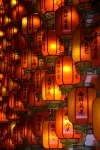 西塘·J浪漫河畔民宿（西塘古鎮店） - 寵物友善