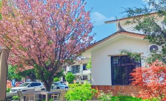 Xiaomi Homestay