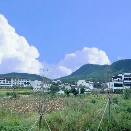 Vienna International Hotel (Huangshan Hongcun Scenic Area)