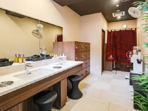 HOTEL LiVEMAX PREMIUM Umeda East Hotels in Osaka