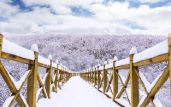 Cuiyunshan Xingchen Valley Apartment Hotels near Fulong Four Seasons Town