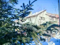 N+ Mountain Villa Hotels in 
