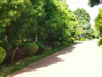 Yunnan Style Homestay Hotels in Landschaft beim Dianchi See