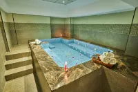 Hotel Crowne Imperial - Kathmandu - 스파