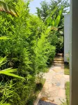 HARADALI HOME