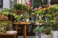 Nanxun View Light Luxury Intelligent Meishu (Dali Ancient Town South Store) 천희원(톈시원) 주변 호텔