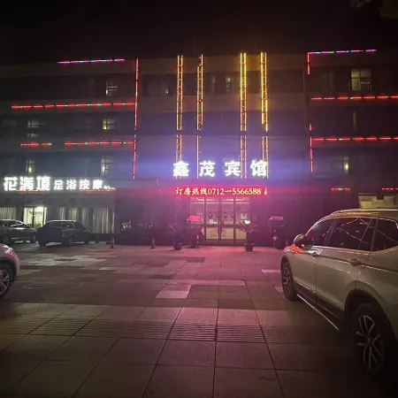 Anlu Xinmao Hotel