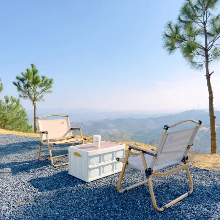 Letter from early summer