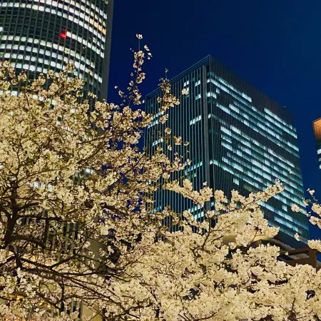 Nagoya JR Gate Tower Hotel (JR-Central Hotels)