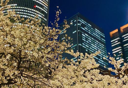 나고야 호텔 전망