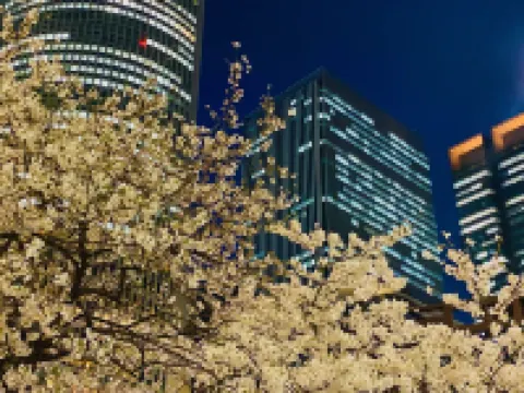 Nagoya JR Gate Tower Hotel (JR-Central Hotels) Hotels in 