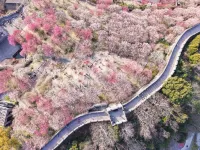 Yuchun Yard · Courtyard Resort Homestay (Linhai Ziyang Street Branch)