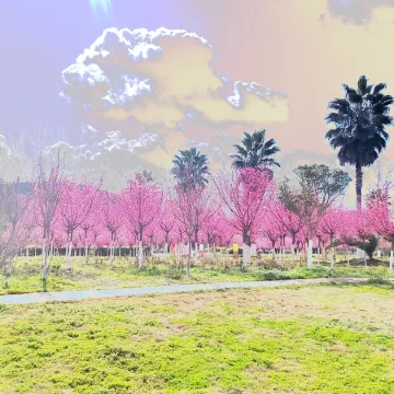 Vienna International Hotel (Yanting Longfenggu)