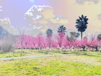 Vienna International Hotel (Yanting Longfenggu)