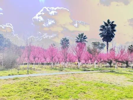 Vienna International Hotel (Yanting Longfenggu) Отели в г. Яньтин