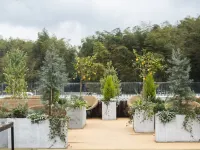 dobmbo Hotels in Changning