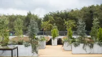 dobmbo Hotels in Changning