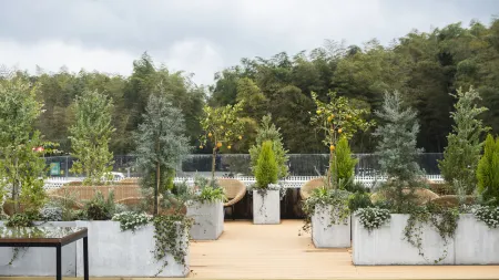 dobmbo Отели рядом с достопримечательностью «Emerald Gallery»